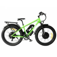 Электровелосипед Elbike Phantom Twix зеленый